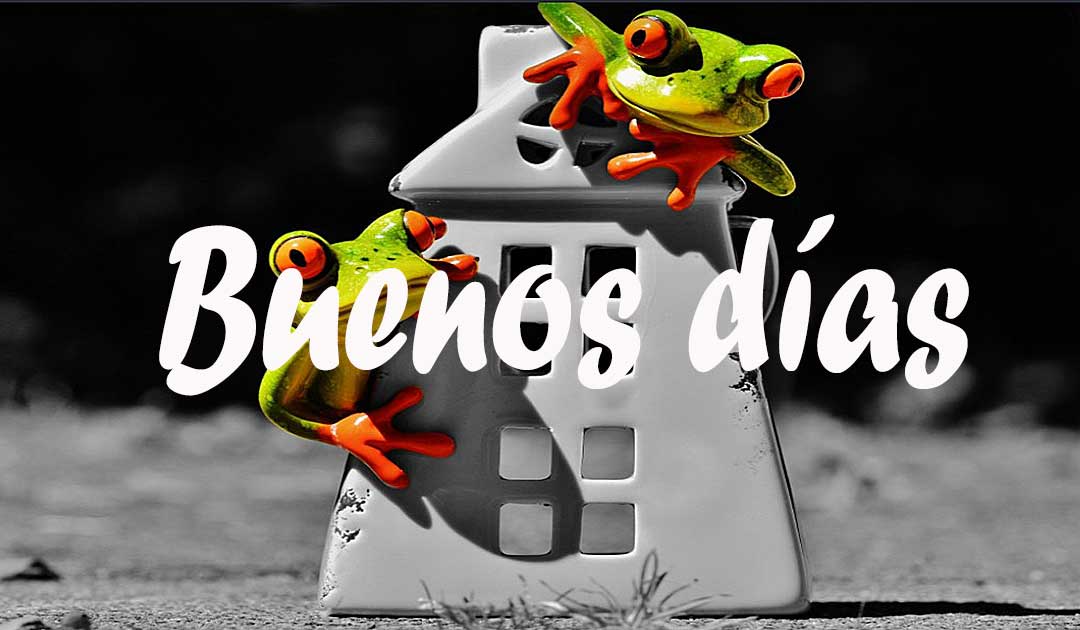 buenos dias