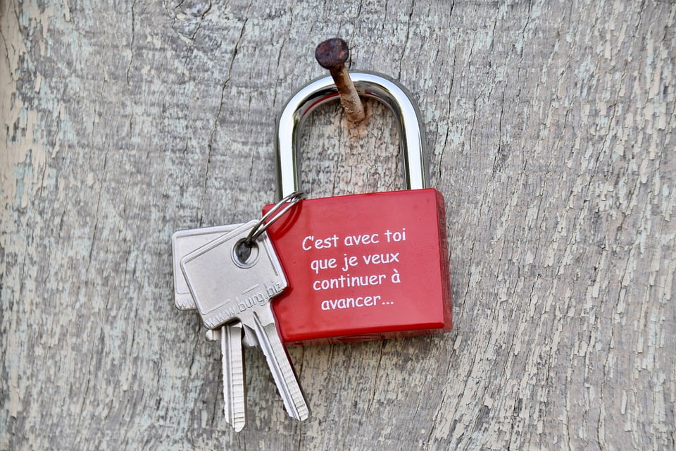Frases de locura